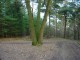 Thumbs/tn_DSC05484.jpg