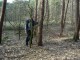 Thumbs/tn_DSC05488.jpg