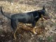 Thumbs/tn_DSC05490.jpg