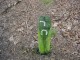 Thumbs/tn_DSC09019.jpg