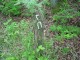 Thumbs/tn_DSC09020.jpg