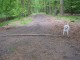 Thumbs/tn_DSC09021.jpg