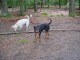 Thumbs/tn_DSC09022.jpg