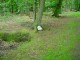 Thumbs/tn_DSC09023.jpg