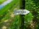 Thumbs/tn_DSC09031.jpg