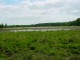 Thumbs/tn_DSC09032.jpg