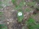 Thumbs/tn_DSC09033.jpg