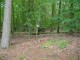 Thumbs/tn_DSC09035.jpg
