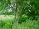 Thumbs/tn_DSC09040.jpg