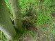 Thumbs/tn_DSC09041.jpg