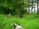 Thumbs/tn_DSC09042.jpg