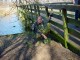 Thumbs/tn_DSC05770.jpg