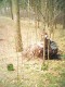 Thumbs/tn_PIC00008.jpg
