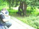 Thumbs/tn_DSC00925.jpg