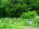Thumbs/tn_DSC00931.jpg