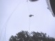 Thumbs/tn_IMG_0036.jpg