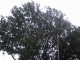 Thumbs/tn_IMG_0038.jpg