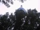 Thumbs/tn_IMG_0053.jpg