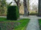 Thumbs/tn_DSC04705.jpg
