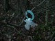 Thumbs/tn_DSC04732.jpg
