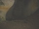 Thumbs/tn_DSC04737.jpg