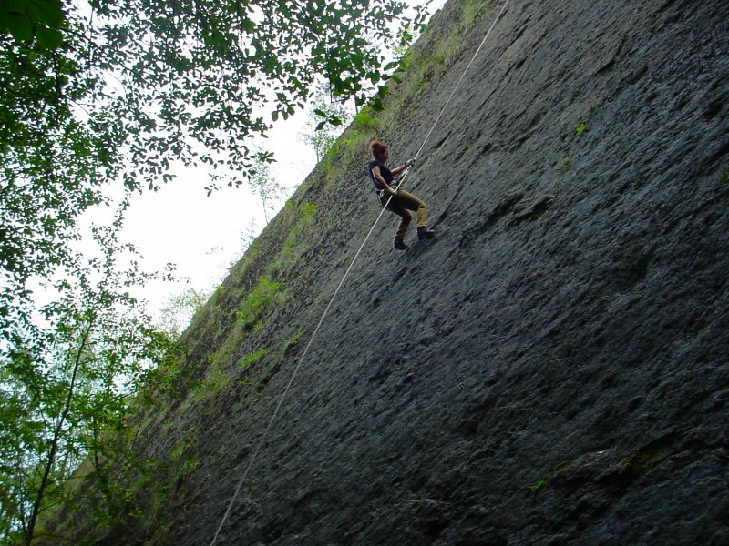 ../Images/DSC03375.jpg