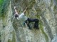 Thumbs/tn_DSC03281.jpg