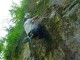 Thumbs/tn_DSC03283.jpg