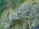 Thumbs/tn_DSC03284.jpg