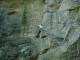 Thumbs/tn_DSC03286.jpg