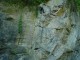 Thumbs/tn_DSC03290.jpg