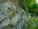 Thumbs/tn_DSC03294.jpg