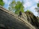 Thumbs/tn_DSC03306.jpg