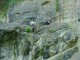 Thumbs/tn_DSC03348.jpg