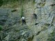 Thumbs/tn_DSC03349.jpg