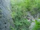 Thumbs/tn_DSC03355.jpg