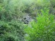 Thumbs/tn_DSC03356.jpg