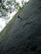 Thumbs/tn_DSC03357.jpg