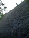 Thumbs/tn_DSC03371.jpg