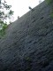 Thumbs/tn_DSC03372.jpg