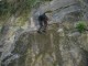 Thumbs/tn_IMG_0120.jpg