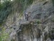Thumbs/tn_IMG_0123.jpg