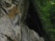 Thumbs/tn_IMG_0129.jpg