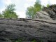 Thumbs/tn_IMG_0131.jpg