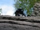 Thumbs/tn_IMG_0132.jpg