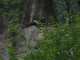 Thumbs/tn_IMG_0148.jpg