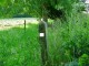 Thumbs/tn_DSC02056.jpg