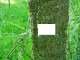 Thumbs/tn_DSC02057.jpg