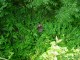 Thumbs/tn_DSC02061.jpg