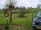 Thumbs/tn_DSC05582.jpg